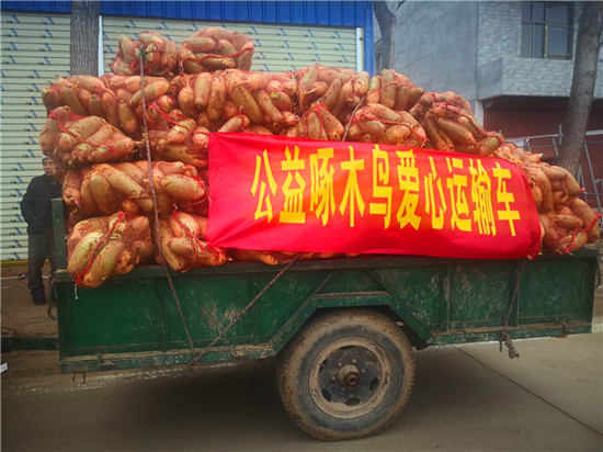 ＂愛心蘿卜＂來了！