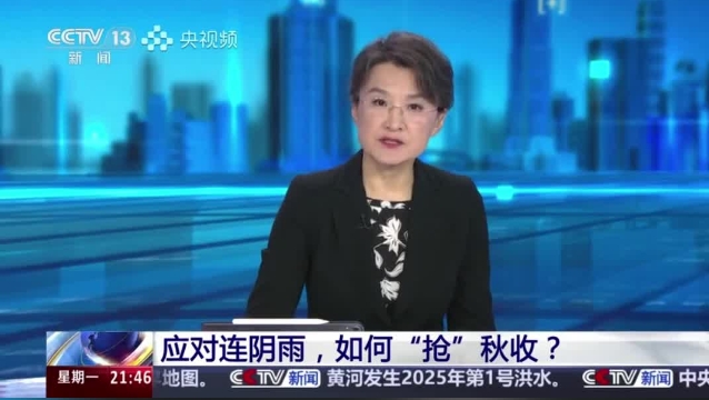 【主流媒體看周口】面對(duì)連陰雨 如何“搶”秋收？