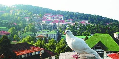  有著“云中山城”之稱的牯嶺鎮(zhèn)面臨著遷民下山。